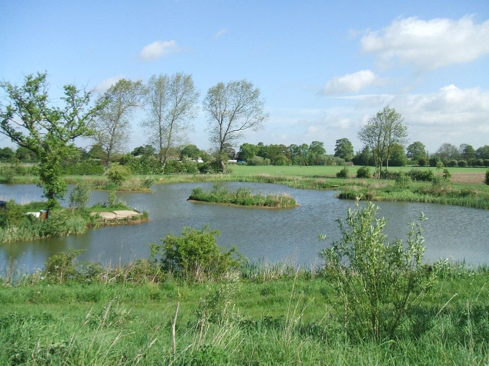 Manor Carp Lake