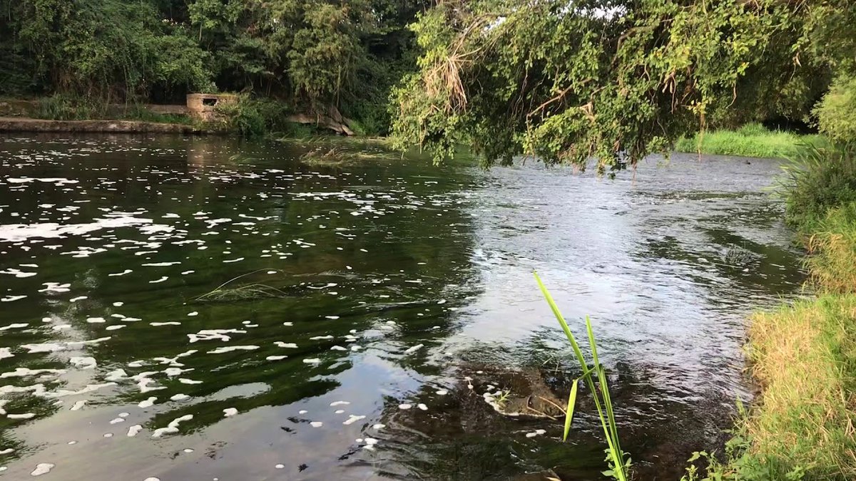 Anchor Meadow Evesham