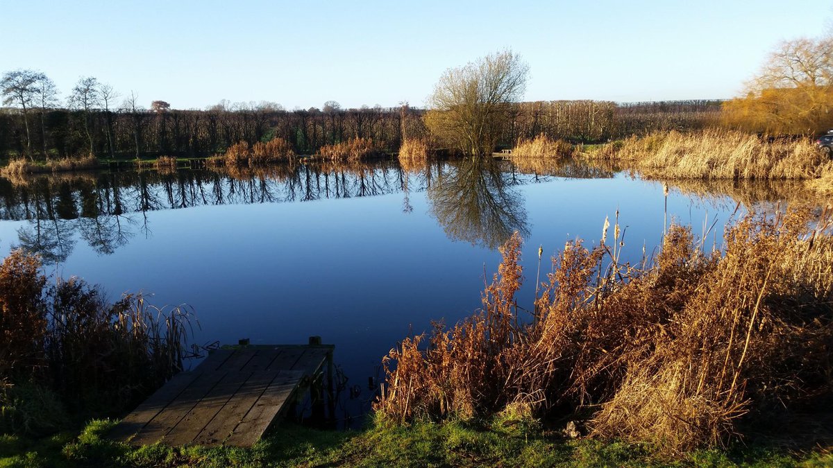 Lavender Farm Fishery Kent